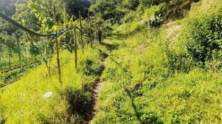 Land for sale in Cinfães, Portugal — €27,000