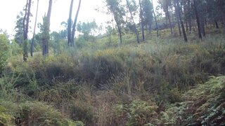 Land for sale in Marco de Canaveses, Portugal — €40,000