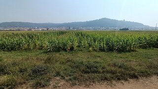Land for sale in Viana do Castelo, Portugal — €26,000