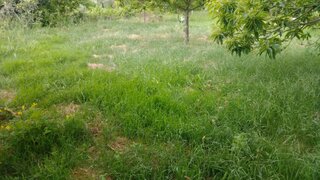 Land for sale in Marco de Canaveses, Portugal — €32,000