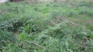 Land for sale in Póvoa de Varzim, Portugal — €85,000