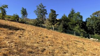 Land for sale in Baião, Portugal — €69,000