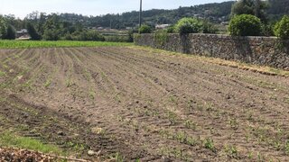 Land for sale in Paredes de Coura, Portugal — €26,000