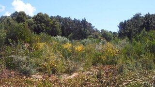 Land for sale in Caminha, Portugal — €225,000