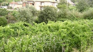 Land for sale in Baião, Portugal — €27,500
