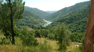 Land for sale in Cinfães, Portugal — €17,000