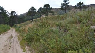 Land for sale in Marco de Canaveses, Portugal — €25,000