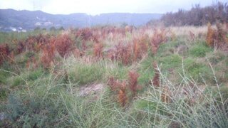 Land for sale in Baião, Portugal — €25,000