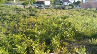 Land for sale in Vila Nova de Cerveira, Portugal — €63,000