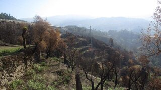 Land for sale in Amarante, Portugal — €30,000