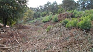 Land for sale in Caminha, Portugal — €120,000