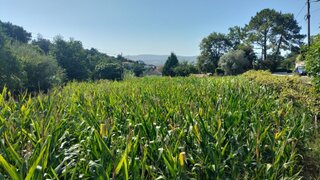 Land for sale in Vila Nova de Cerveira, Portugal — €139,000