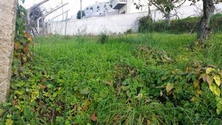 Land for sale in Marco de Canaveses, Portugal — €47,500