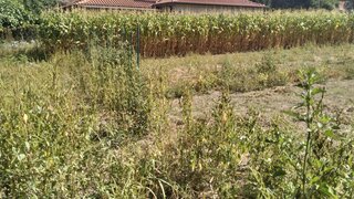 Terreno de 750 m² em Viana do Castelo