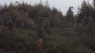 Land for sale in Marco de Canaveses, Portugal — €75,000
