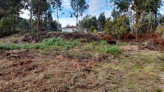 Land for sale in Amarante, Portugal — €50,000