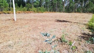 Terreno para venda em Barcelos, Portugal — 150 000 €