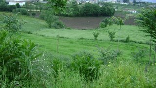 Land for sale in Amarante, Portugal — €100,000