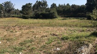 Terreno em Esposende