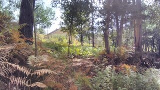 Terreno de 1913 m² em Viana do Castelo