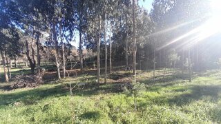 Terreno para venda em Caminha, Portugal — 425 000 €