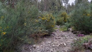 Land for sale in Penafiel, Portugal — €17,500