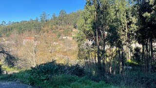 Land for sale in Viana do Castelo, Portugal — €60,000