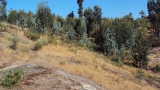 Land for sale in Marco de Canaveses, Portugal — €40,000