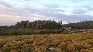Land for sale in Marco de Canaveses, Portugal — €10,000