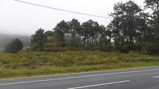 Terreno de 3989 m² em Viana do Castelo