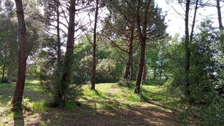 Land for sale in Caminha, Portugal — €390,000