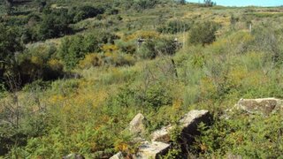 Land for sale in Marco de Canaveses, Portugal — €15,000