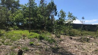 Land for sale in Caminha, Portugal — €55,000
