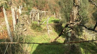 Land for sale in Arcos de Valdevez, Portugal — €49,500