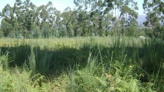 Land for sale in Marco de Canaveses, Portugal — €13,000