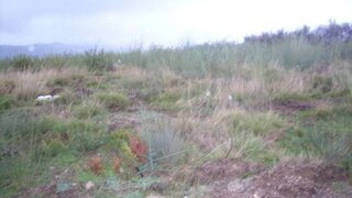 Land for sale in Baião, Portugal — €25,000