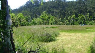 Land for sale in Marco de Canaveses, Portugal — €17,500