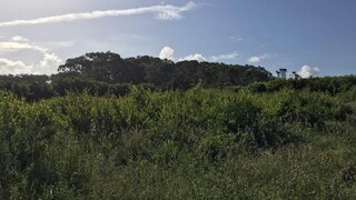 Land for sale in Caminha, Portugal — €82,500