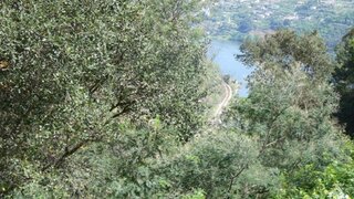Land for sale in Marco de Canaveses, Portugal — €200,000