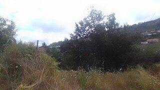 Land for sale in Cinfães, Portugal — €42,000