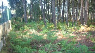 Land for sale in Marco de Canaveses, Portugal — €410,000