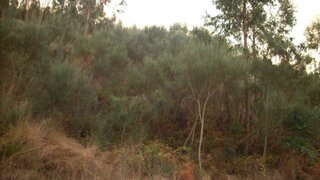 Land for sale in Baião, Portugal — €65,000
