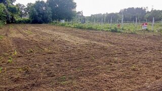 Land for sale in Barcelos, Portugal — €37,500