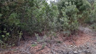 Land for sale in Penafiel, Portugal — €10,000