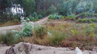 Land for sale in Marco de Canaveses, Portugal — €40,000