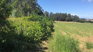 Land for sale in Vila do Conde, Portugal