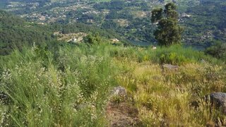 Land for sale in Cinfães, Portugal — €17,500
