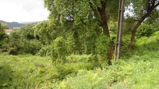 Land for sale in Penafiel, Portugal — €32,000