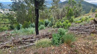 Land for sale in Baião, Portugal — €45,000