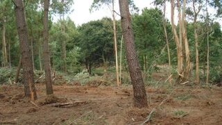 Terreno para venda em Esposende, Portugal — 477 500 €